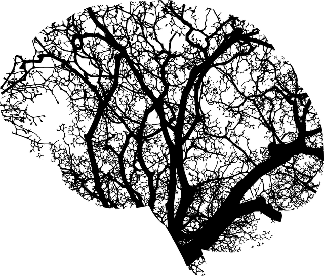 麻將對長者認知功能<br>嘅科學實證