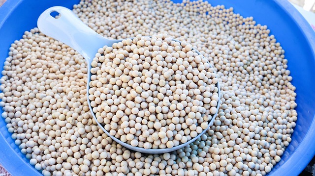 麻將牌山堆疊技巧<br>精髓教學